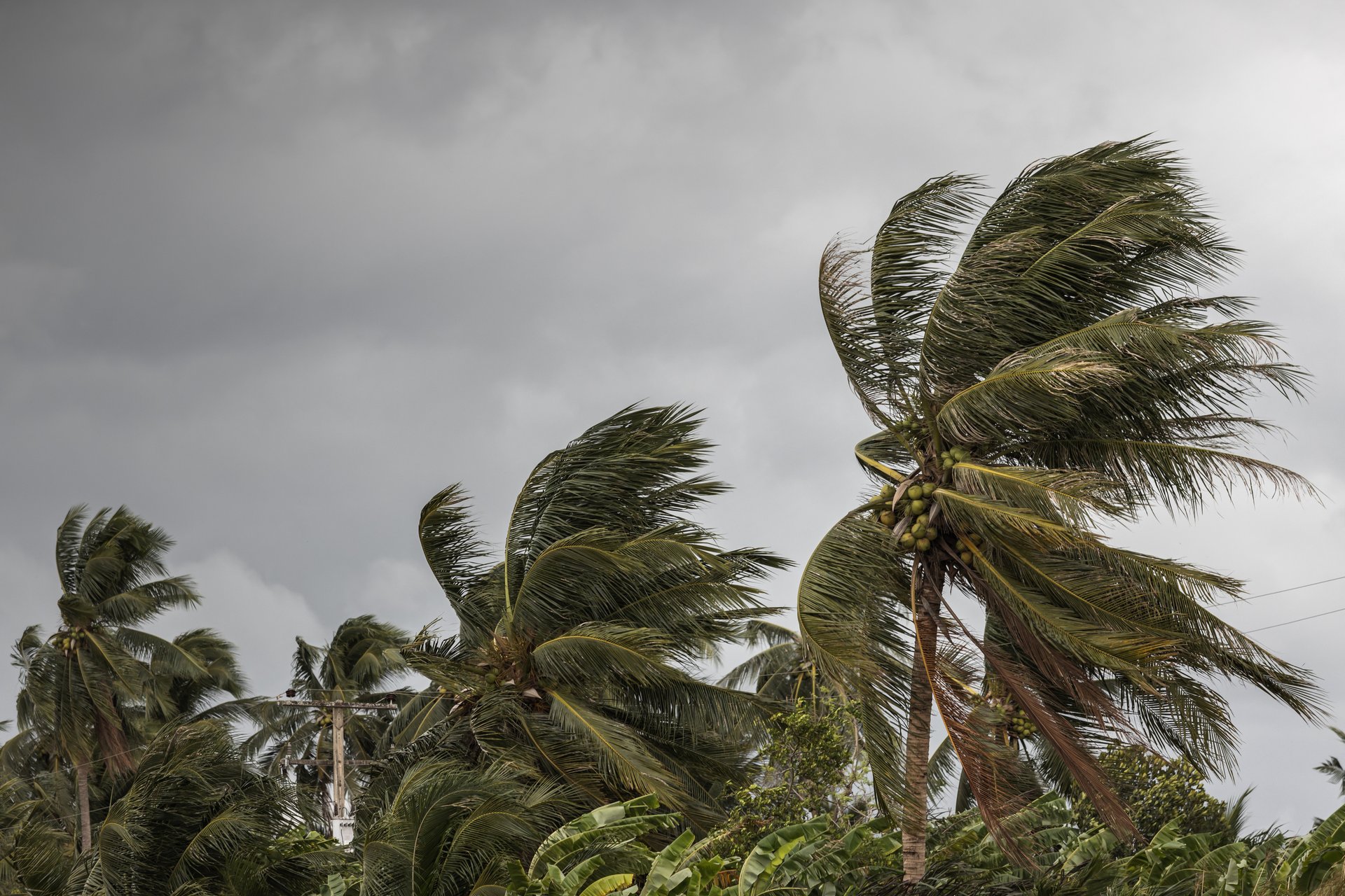 Rooftop Screening Built for Coastal Exposure and High-Wind Demands